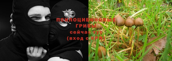 первитин Бородино