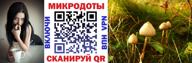 Галлюциногенные грибы Cubensis  закладки  Выборг 
