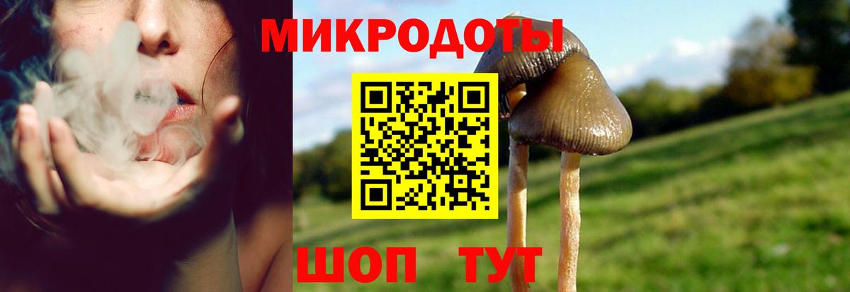 Галлюциногенные грибы MAGIC MUSHROOMS Выборг
