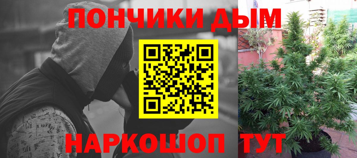 Выборг  Бошки Шишки Bruce Banner  Канабис SATIVA & INDICA  Вход с VPN  Бошки марихуана MAZAR 